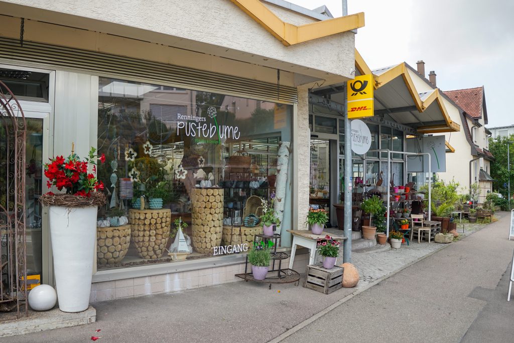 Renningers Pusteblume Ditzingen